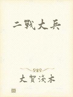 二战大兵