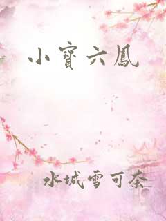 小宝六凤