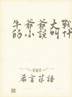 牛爷爷大战小丽的小说叫什么