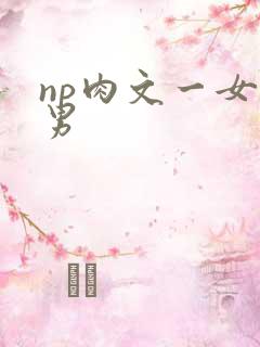 np肉文一女多男