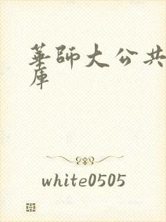 华师大公共数据库