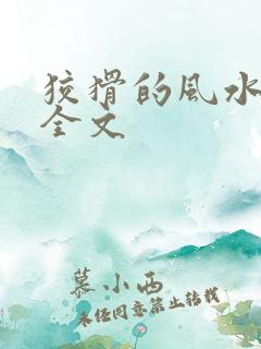 狡猾的风水相师全文