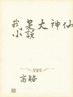 我是大神仙时江小说