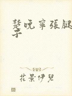 楚晚宁张腿放棋子