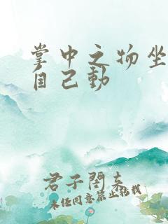 掌中之物坐上来自己动