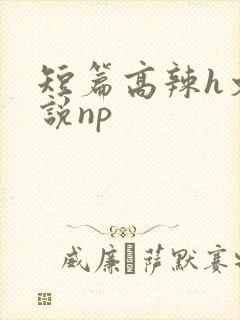 短篇高辣h文小说np