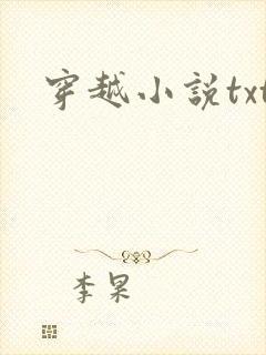 穿越小说txt