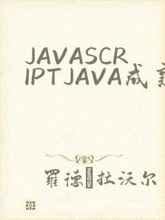 JAVASCRIPTJAVA成熟亲子