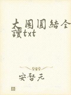 大团圆结全文阅读txt