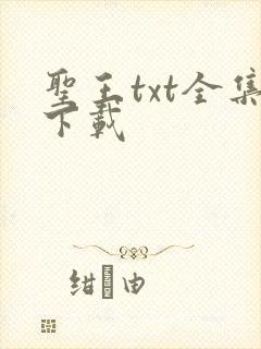 圣王txt全集下载