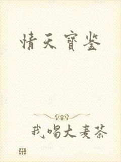 情天宝鉴