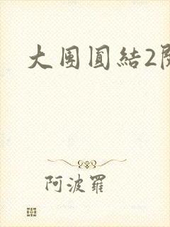 大团圆结2阅读