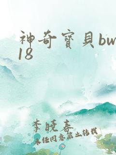 神奇宝贝bw118