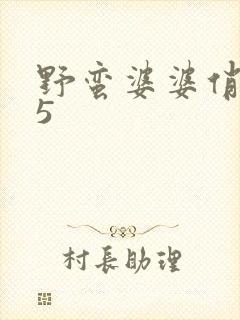 野蛮婆婆俏媳妇5