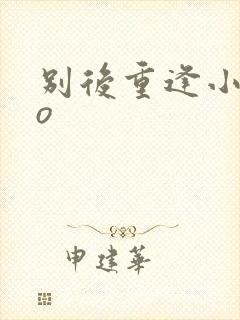 别后重逢小说po