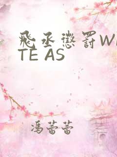 飞丞惩罚WRITE AS