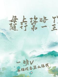 母上攻略 竹影随行第一主板