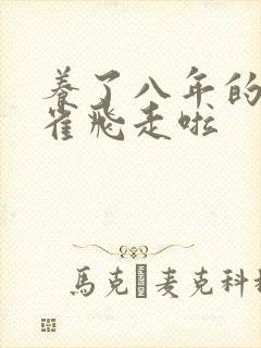 养了八年的金丝雀飞走啦