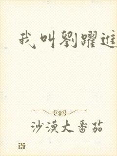 我叫刘跃进下载