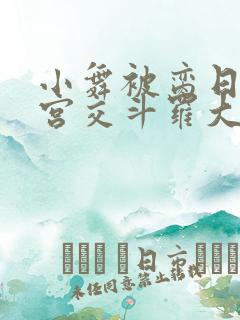 小舞被脔日常h宫交斗罗大乱