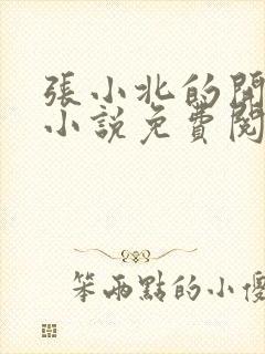 张小北的开光师小说免费阅读怎么没有276章