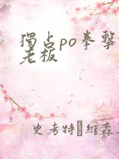 独占po拳击馆老板