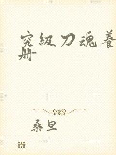 究级刀魂养成手册