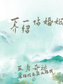 下一站婚姻剧情介绍