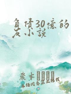 负债30亿的男友小说