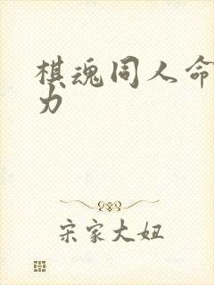 棋魂同人命运之力
