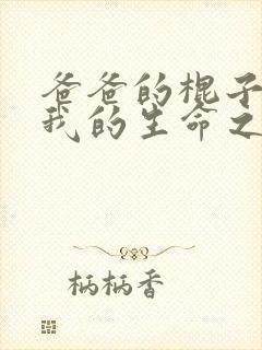 爸爸的棍子顶着我的生命之门