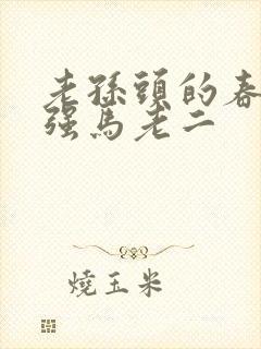 老孙头的春天马强马老二