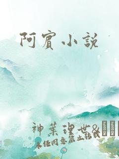 阿宾小说