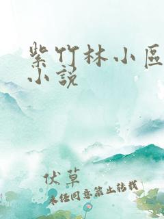 紫竹林小区快递小说