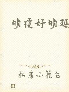 明琼妤明延小说