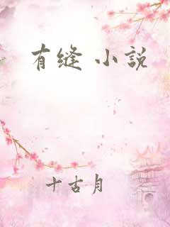 有缝 小说