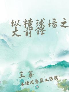 纵横球场之暴力大前锋