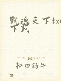 战魂天下txt下载