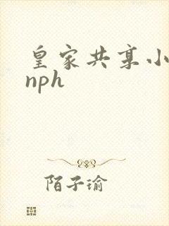 皇家共享小公主nph