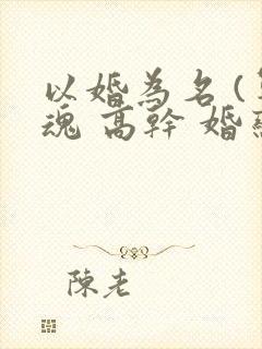 以婚为名 (军魂 高干 婚恋)