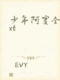 少年阿宾全集txt