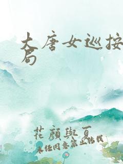 大唐女巡按大结局