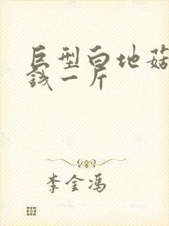 巨型白地菇多少钱一斤