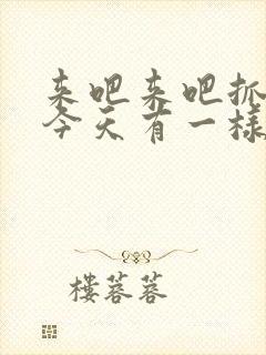 来吧来吧抓紧点今天有一样好东西