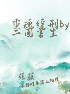 灵魂缓刑by 二团书生