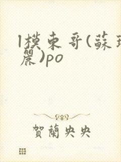 l模东哥(苏玛丽)po