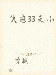 失恋33天小说