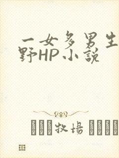 一女多男生活狂野HP小说