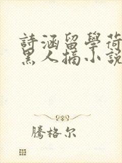 诗涵留学荷兰被黑人摘小说