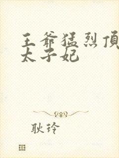 王爷猛烈顶弄H太子妃